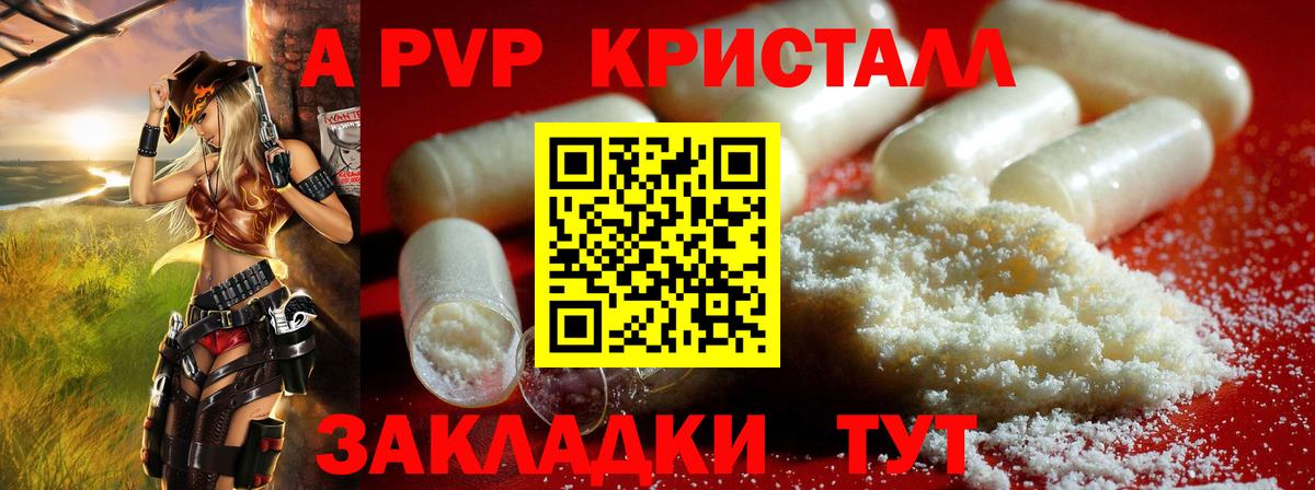 A PVP СК КРИС Элиста