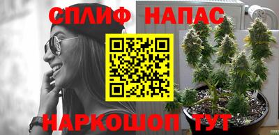 сатива Кулебаки