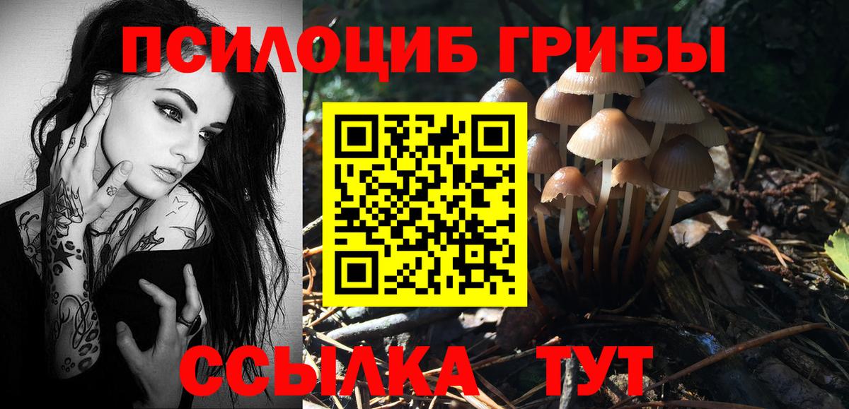Галлюциногенные грибы GOLDEN TEACHER Элиста