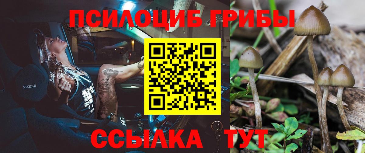 Элиста  Псилоцибиновые грибы MAGIC MUSHROOMS  Вход с VPN  Псилоцибиновые грибы MAGIC MUSHROOMS 
